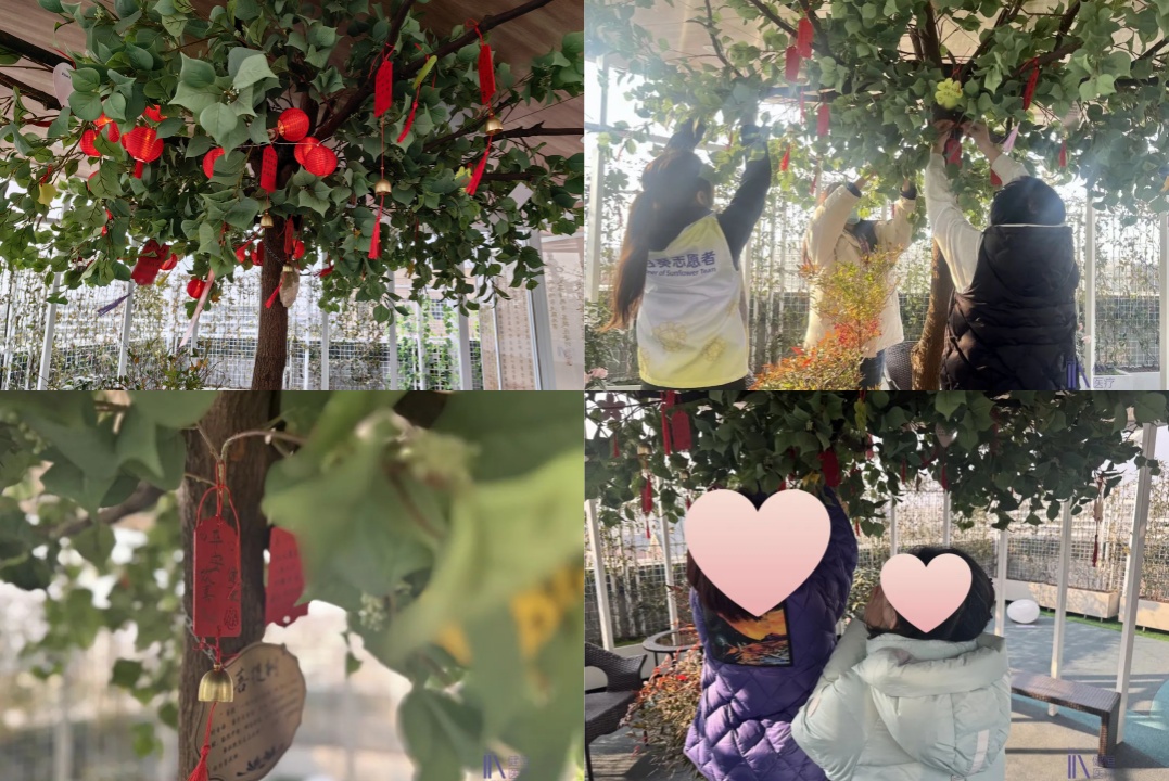 /uploads/image/2025/02/08/19.jpg 19.jpg